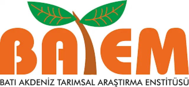 Referanslar 990